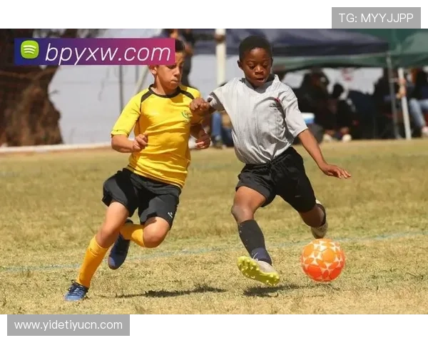 乐鱼在线体育举办线上体育竞猜活动，丰富用户娱乐休闲方式