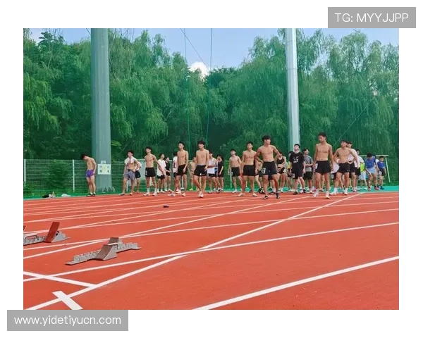 十搏体育开展多样化体育培训，满足不同年龄段群众的健身需求