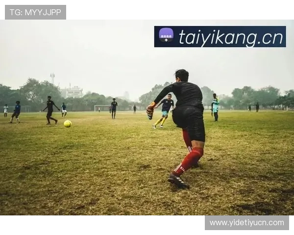 开云体育入口链接详细介绍与使用指南，助你轻松找到官方登录通道