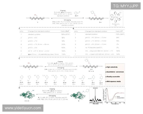 BBV体育官网安全保障措施及账号保护策略全面介绍