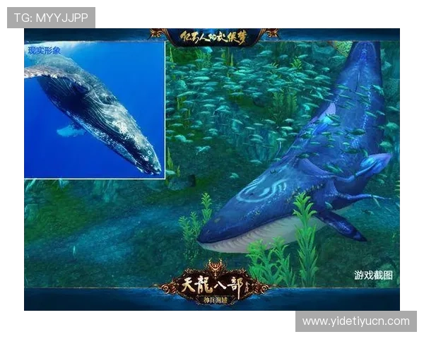 蓝鲸网址官方地址官方最新入口,确保玩家安全访问,畅享丰富游戏内容和活动 蓝鲸网址官方地址官方最新入口,确保玩家安全访问,畅享丰富游戏内容和活动