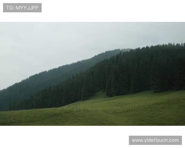 使用678体育官网app快速注册账号，轻松开启您的游戏之旅，享受个性化定制和专属客服服务